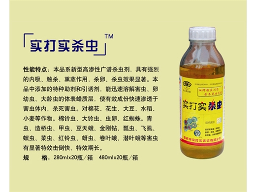 实打实杀虫